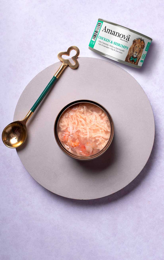 Amanova Umido Gatto Lattina 85 grammi Filetti in JELLY