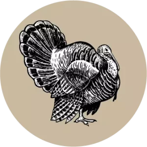 WildFull Cane Adult Tacchino Small