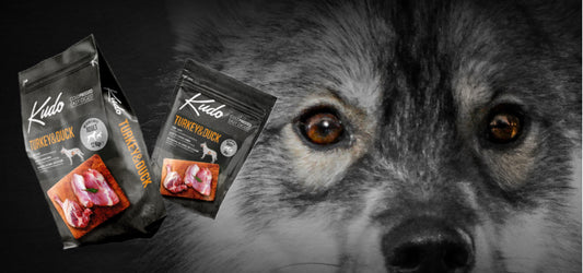 Kudo Cane Adult Tacchino e Anatra medio & maxi