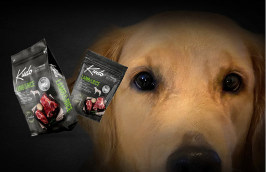 Kudo Cane Adult Agnello medio & maxi