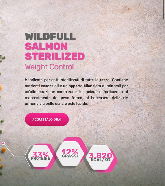 WildFull Gatto Sterilised Salmon Salmone