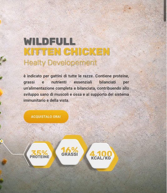 WildFull Gatto Kitten Pollo GATTINO