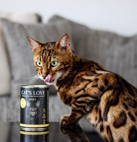 Cat’s Love umido gatto in lattina
