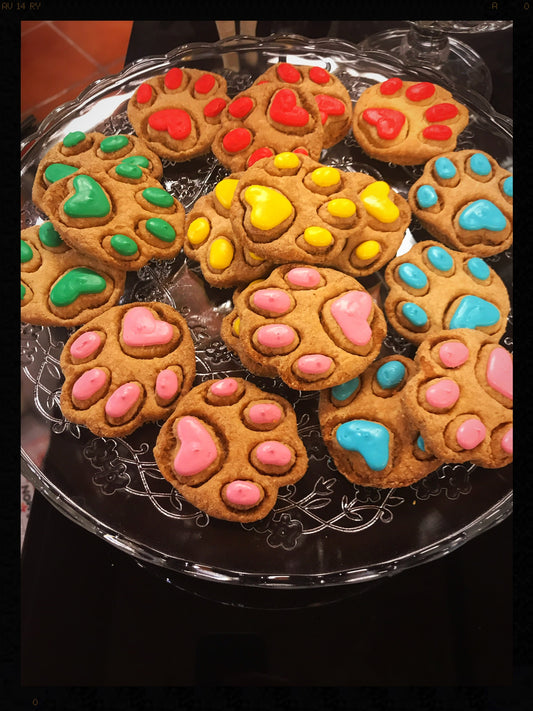 Baus Bakery Zampa Color Biscotti