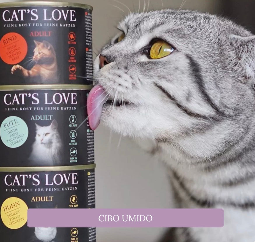 CAT’S Love