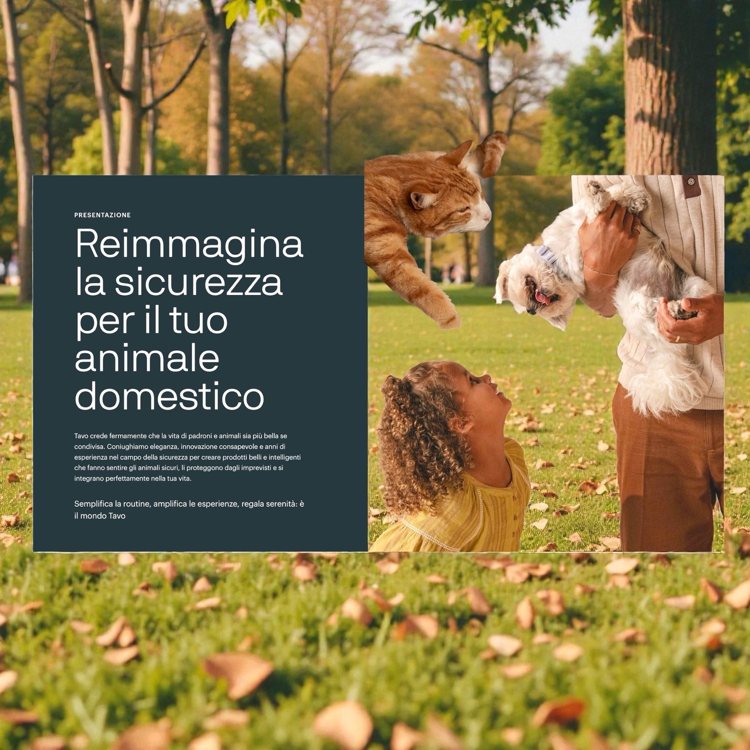 Tavo Pets Comfort & Sicurezza