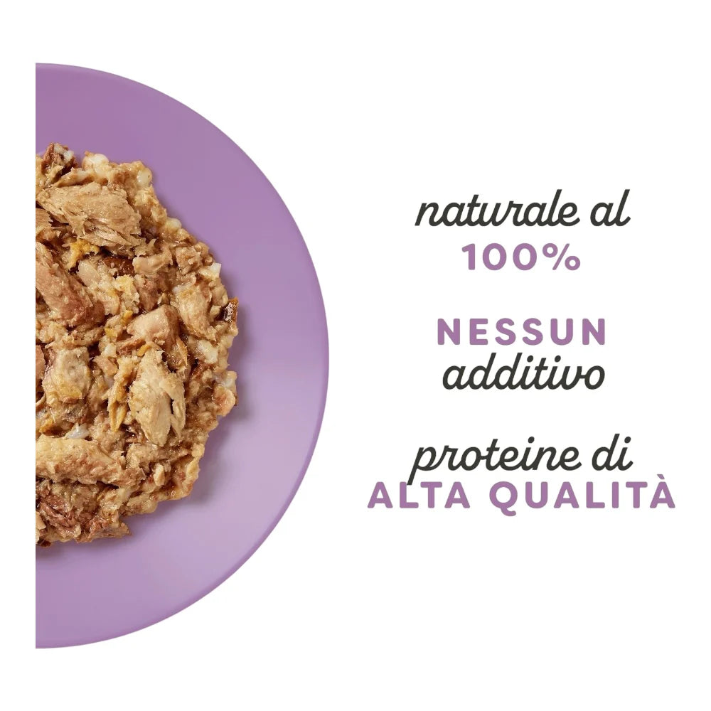 Applaws in BRODO Gatto Lattina