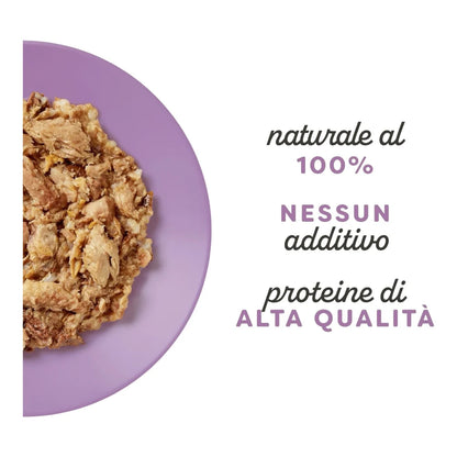 Applaws in BRODO Gatto Lattina