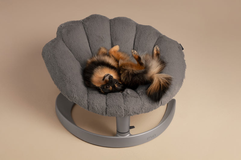 Tavo Shell Cuccia Oscillante