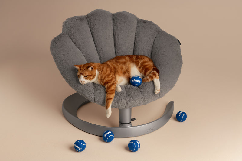 Tavo Shell Cuccia Oscillante