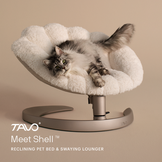 Tavo Shell Cuccia Oscillante