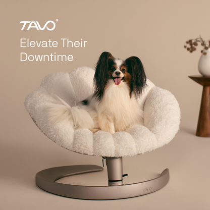 Tavo Shell Cuccia Oscillante