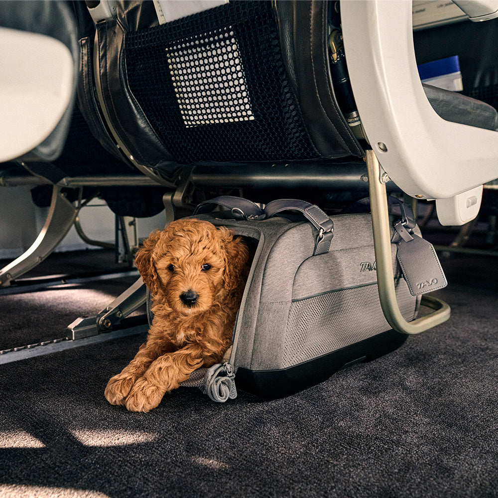 Tavo DUPREE borsa Isofix trasportino