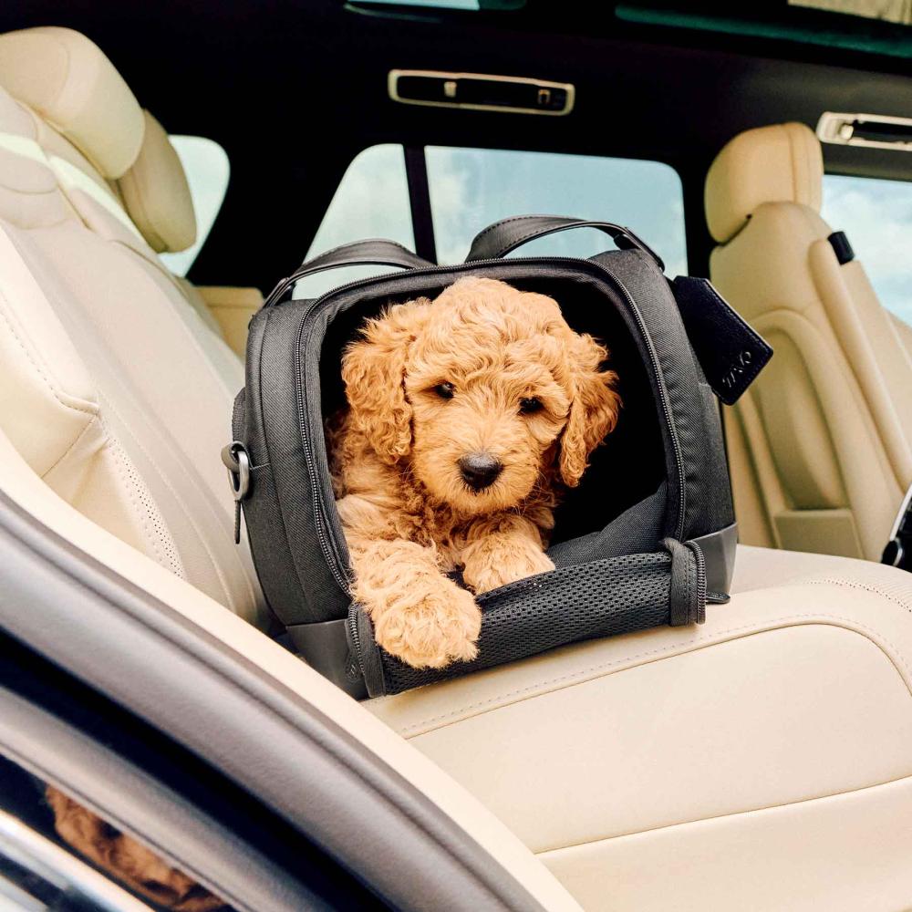 Tavo DUPREE borsa Isofix trasportino