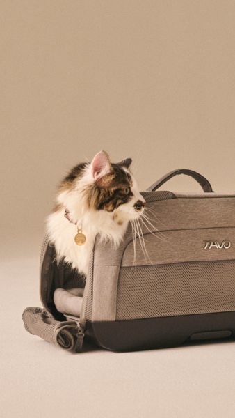 Tavo DUPREE borsa Isofix trasportino