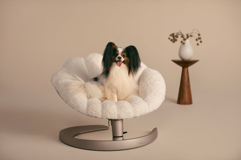 Tavo Shell Cuccia Oscillante