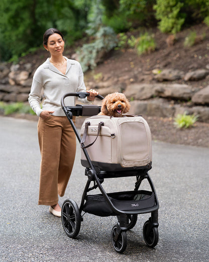 Tavo Roscoe™ Trek Passeggino