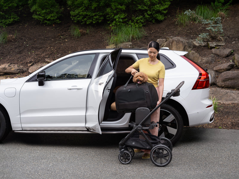 Tavo Roscoe™ Trek Passeggino