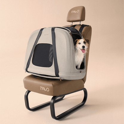 Tavo CRISPIN Isofix trasportino da viaggio