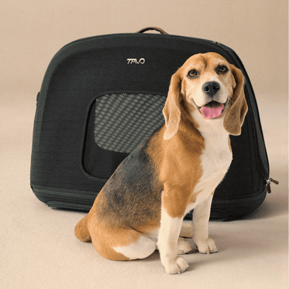 Tavo CRISPIN Isofix trasportino da viaggio
