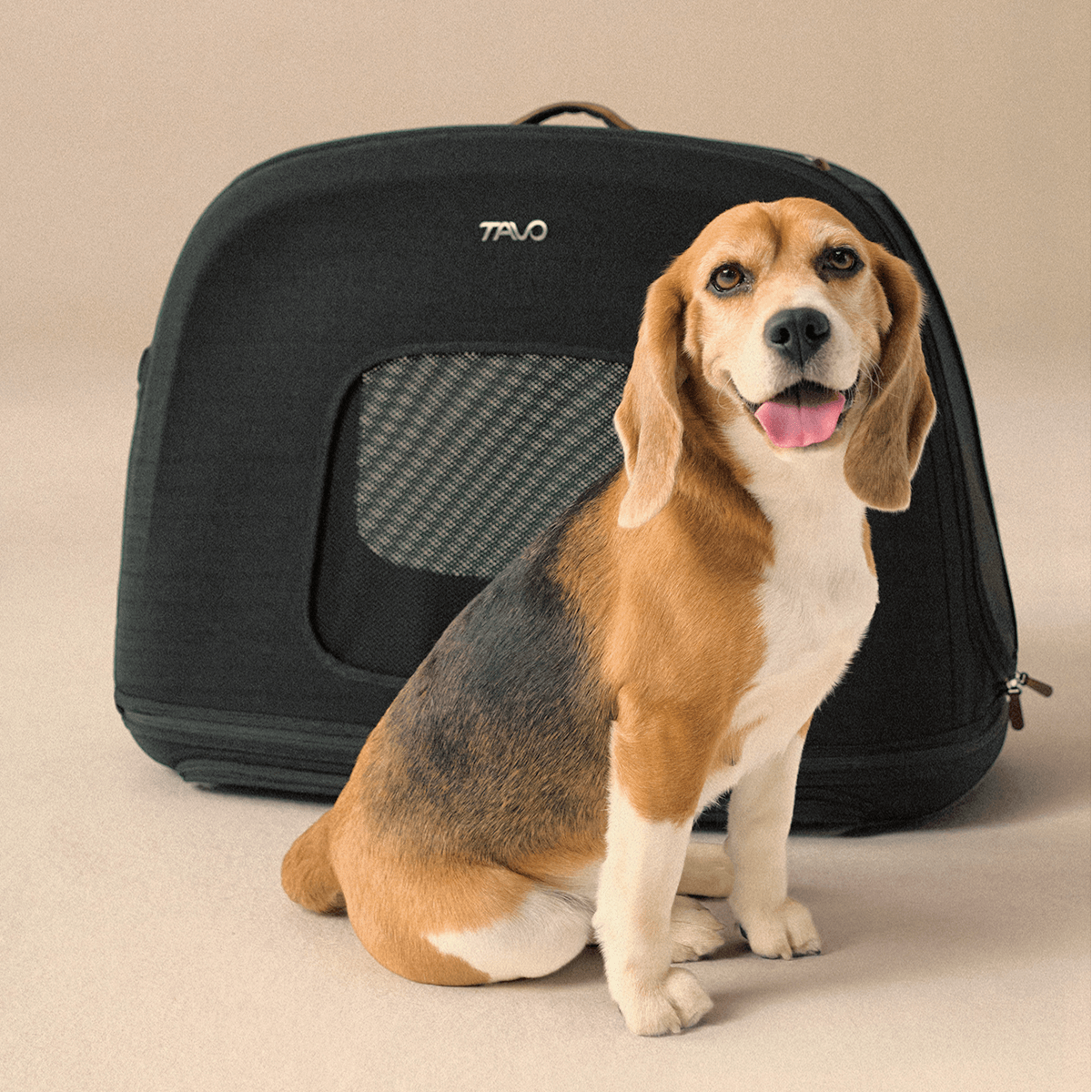 Tavo CRISPIN Isofix trasportino da viaggio