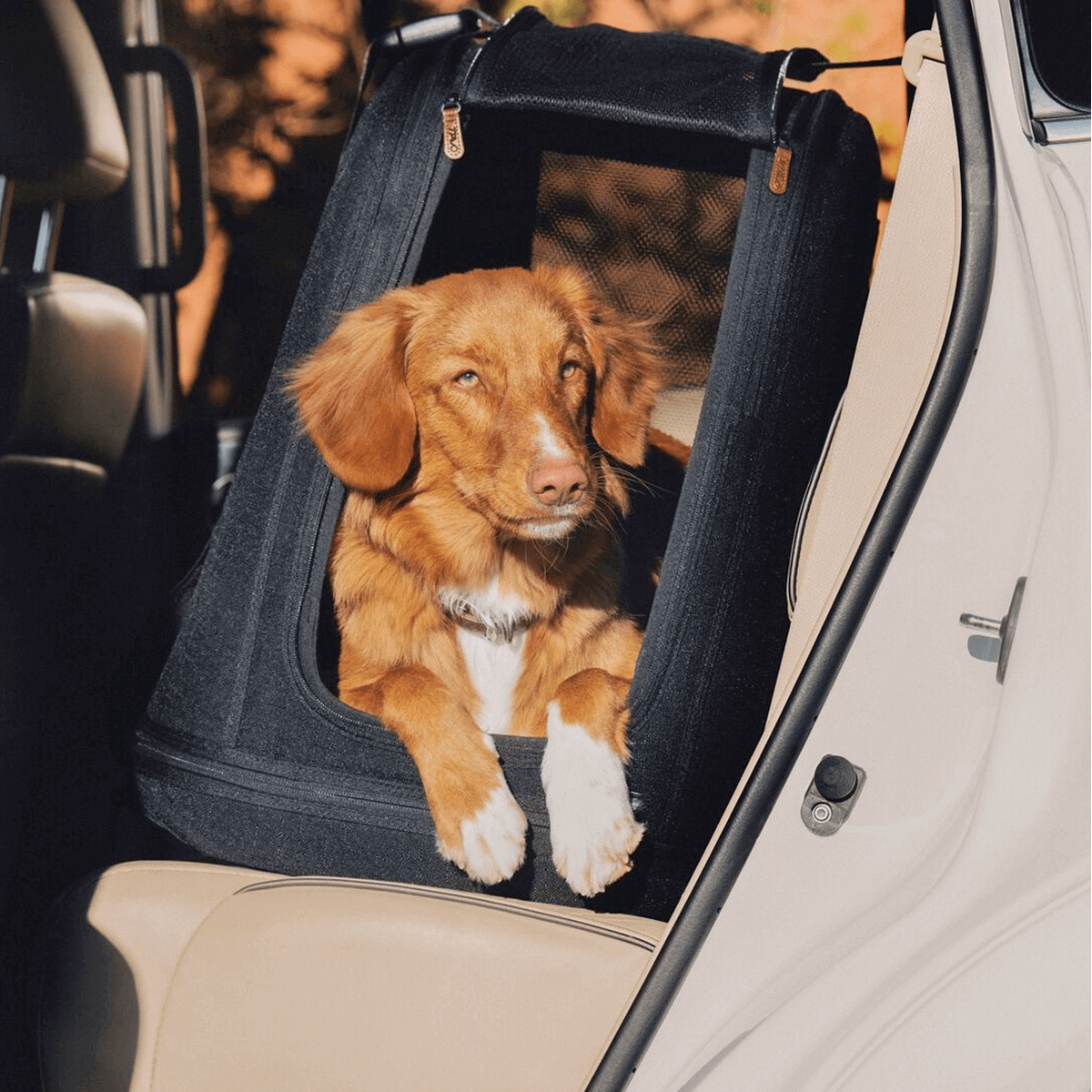 Tavo CRISPIN Isofix trasportino da viaggio