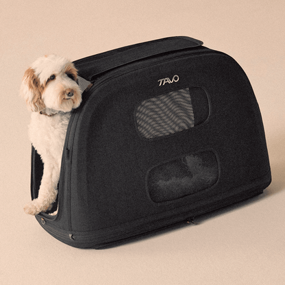 Tavo CRISPIN Isofix trasportino da viaggio