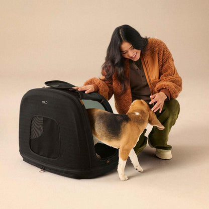 Tavo CRISPIN Isofix trasportino da viaggio