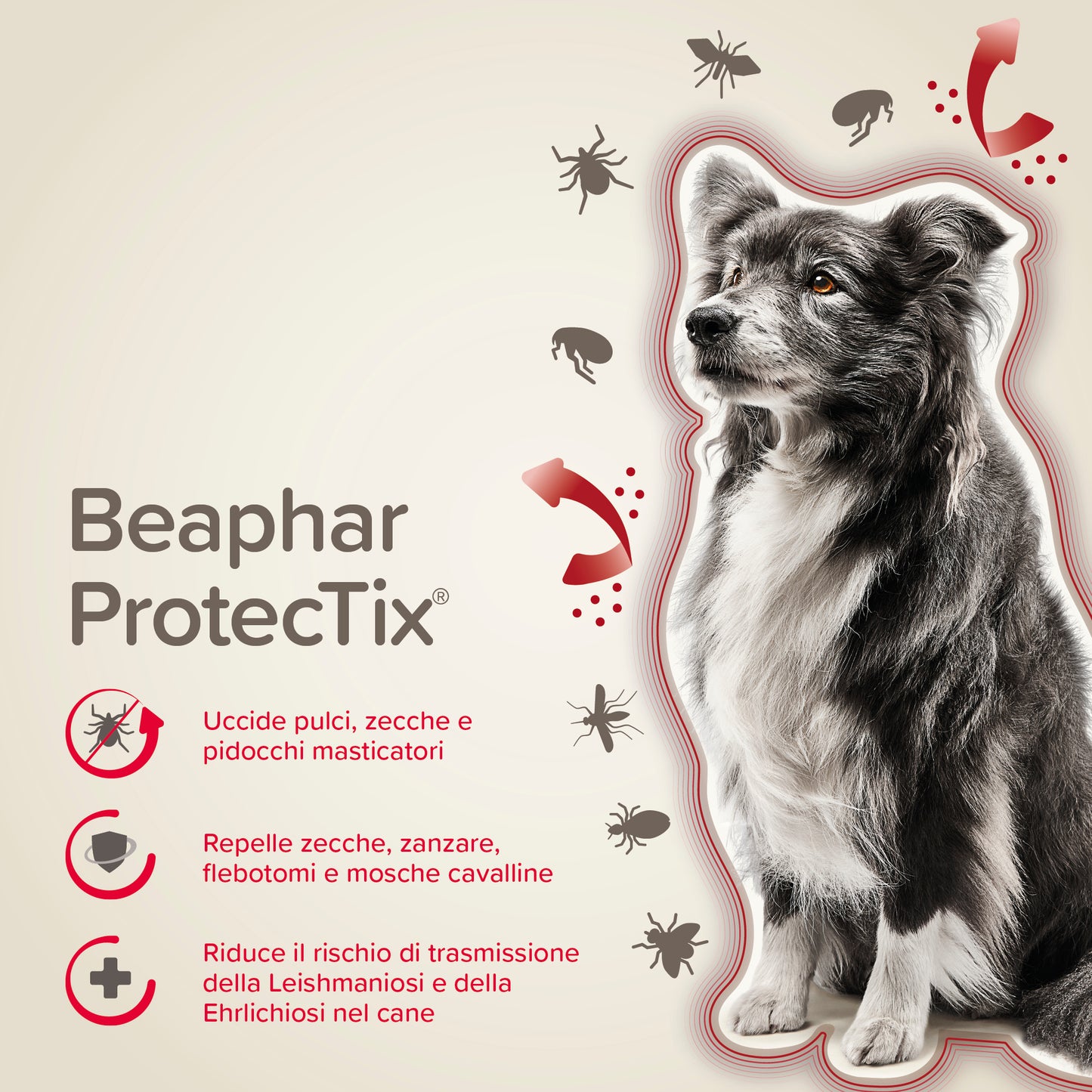 ProtecTix Spot On 4 Pipette