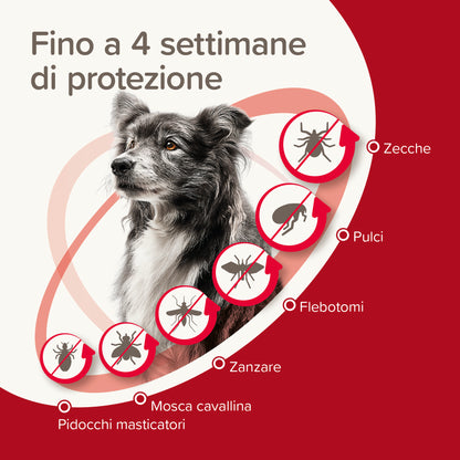 ProtecTix Spot On 4 Pipette