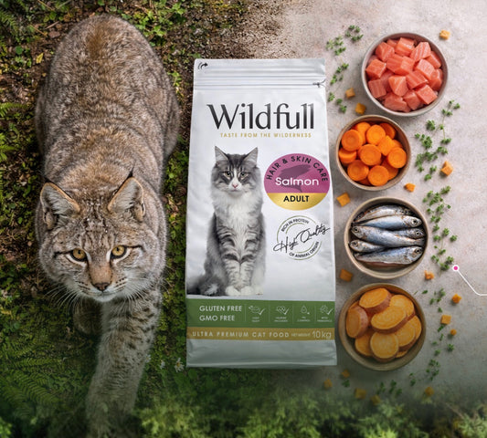 Wildfull crocchette gatto adulto salmone