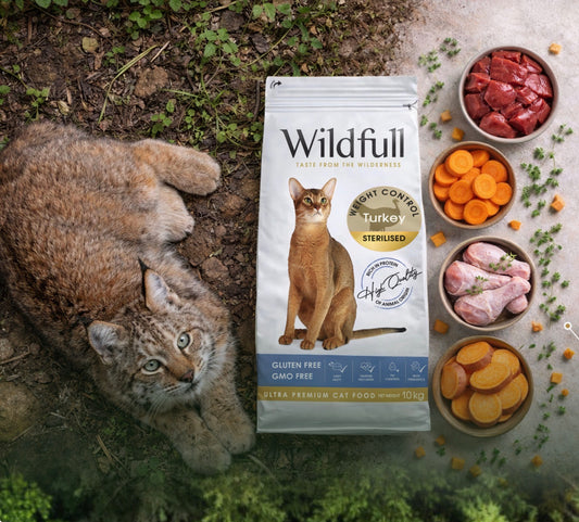 WildFull Gatto Sterilised Turkey Tacchino