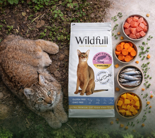 WildFull Gatto Sterilised Salmon Salmone