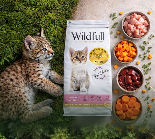WildFull Gatto Kitten Pollo GATTINO