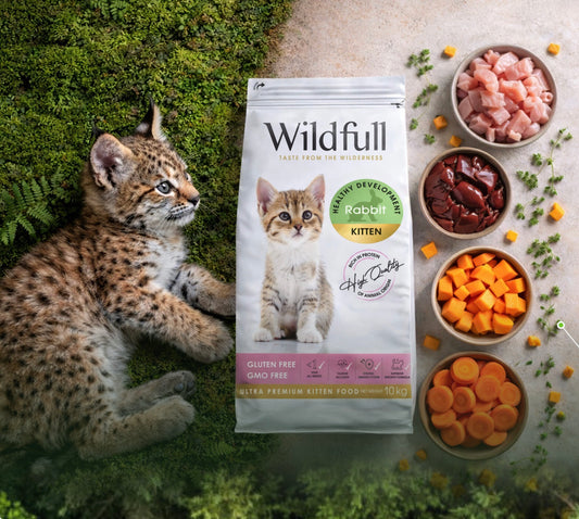 WildFull Gatto Kitten RABBIT Coniglio per GATTINO