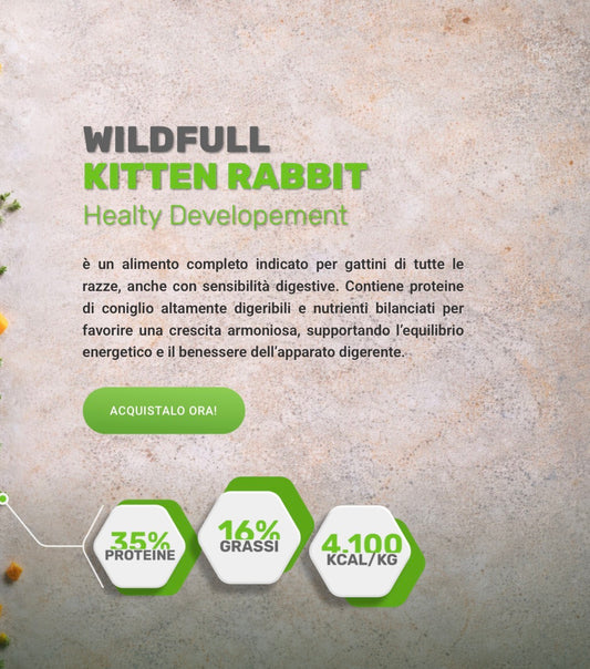 WildFull Gatto Kitten RABBIT Coniglio per GATTINO