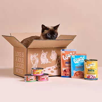 WoW Cat umido in SALSA bustina gatto