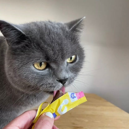 WoW Cat SNACK soft stick gatto