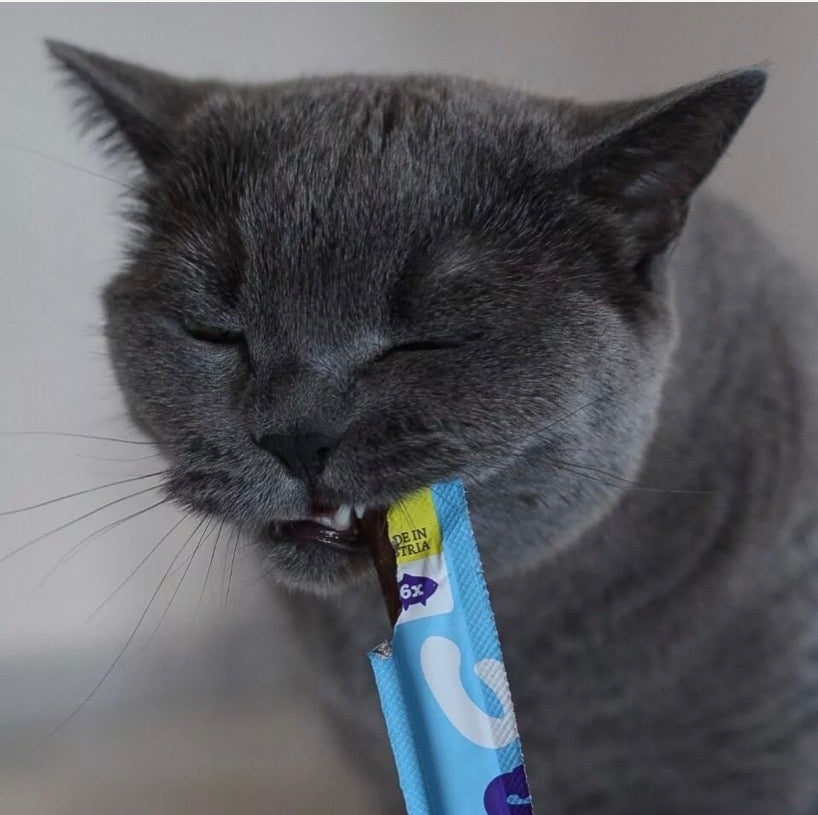 WoW Cat SNACK soft stick gatto