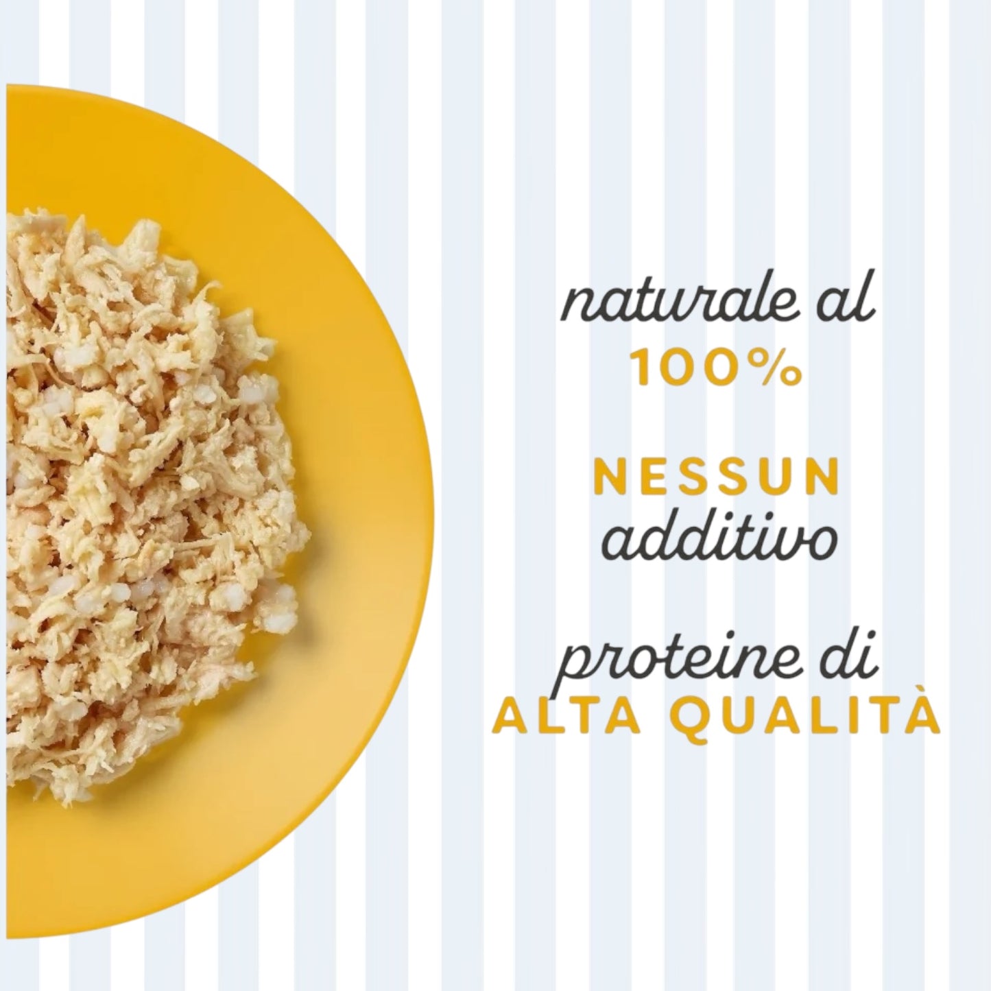 Applaws in BRODO Gatto Lattina